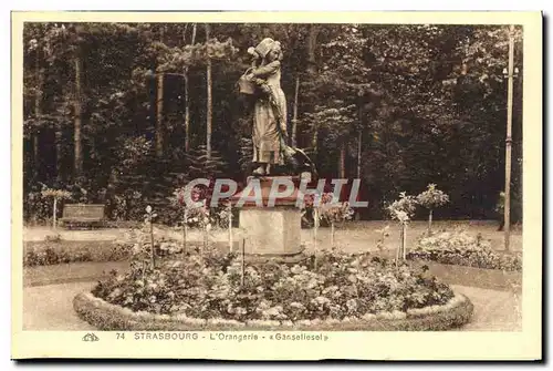 Cartes postales Strasbourg L&#39Orangerie