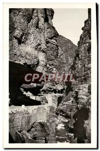 Cartes postales moderne Beuil Les Gorges du Cians Tete de singe Gardien des gorges du Cians