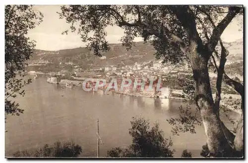 Cartes postales Villefranche vue a travers les oliviers