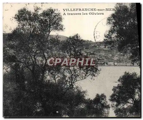 Cartes postales Villefranche Sur Mer A Travers les Oliviers