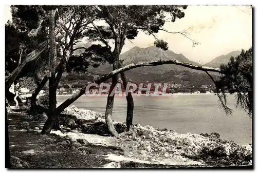 Cartes postales moderne Pinede et rochers du Cap Martin