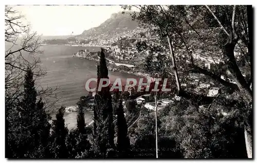 Cartes postales moderne Monaco La Principaute vue de Roquebrune