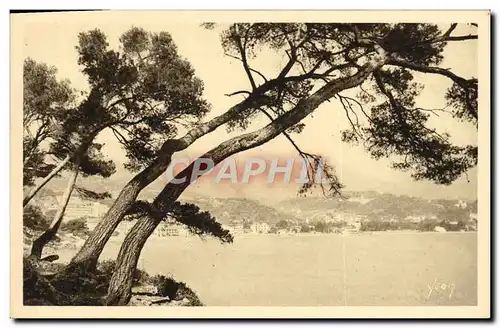 Cartes postales Menton Vue Prise du Cap Martin