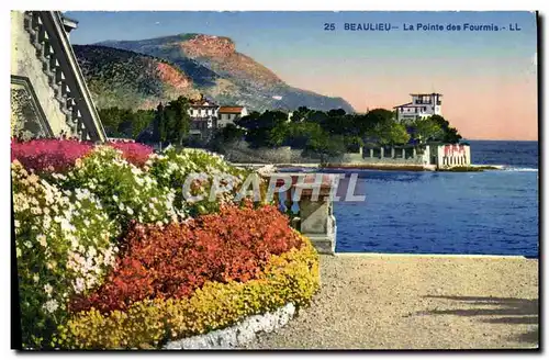 Cartes postales Beaulieu La Pointe Des Fourmis