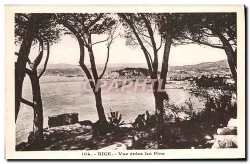 Cartes postales Nice Vue Entre Les Pins