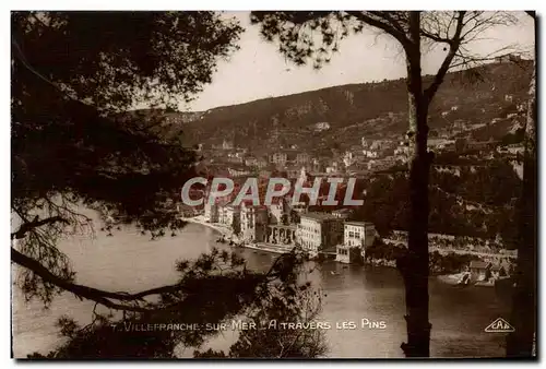 Cartes postales Villefranche Sur Mer A Travers Les Pins