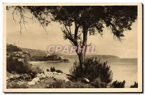 Cartes postales Monaco Le Littoral Vers Le CAp Martin