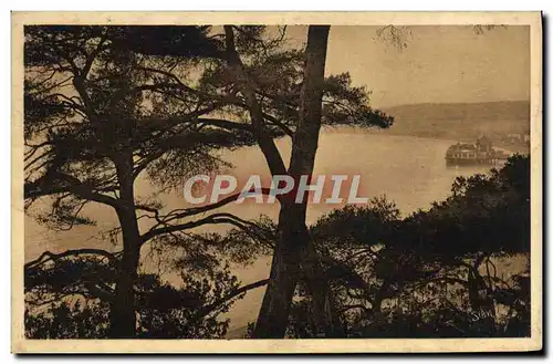 Cartes postales Nice La Baie Des Anges A Travers les pins du chateau