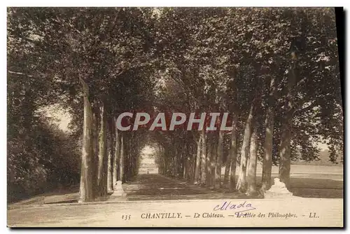 Cartes postales Chateau De Chantilly L&#39allee des philosophes