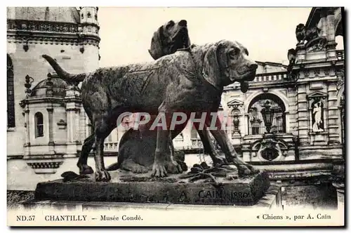 Ansichtskarte AK Chateau De Chantilly Musee Conde Chiens