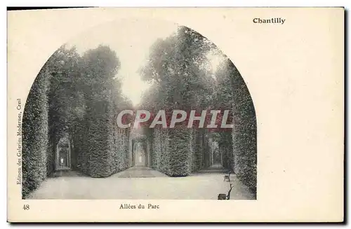 Cartes postales Chateau De Chantilly Allee du parc