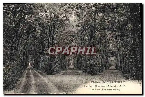 Cartes postales Chateau De Chantilly Le Parc Les Trois allees