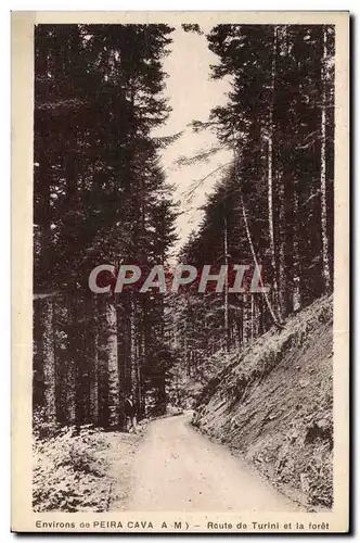 Cartes postales Environs De Peira Cava Route De Turini Et La Foret