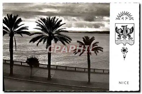 Cartes postales moderne Nice Coucher de soleil sur la promenade des Anglais