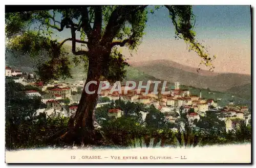 Cartes postales Grasse Vue Entre Les Oliviers