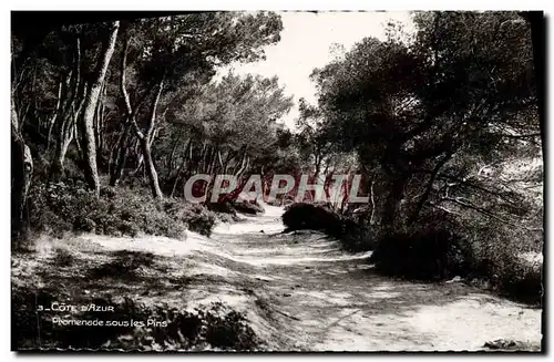 Moderne Karte Cote Azur Promenade Sous Les Pins