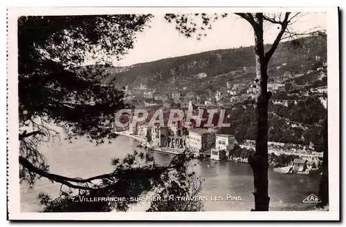 Cartes postales Villefranche Sur Mer A Travers Les Pins