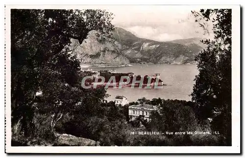 Cartes postales Beaulieu Vue Entre Les Oliviers