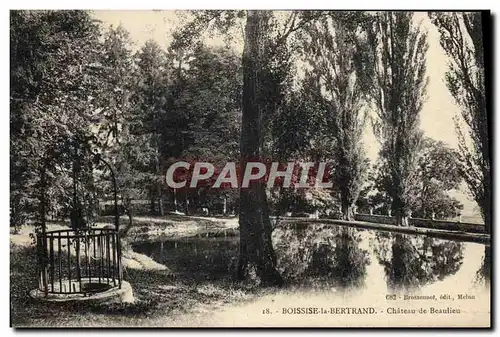 Cartes postales Boissise La Bertrand Chateau De Beaulieu