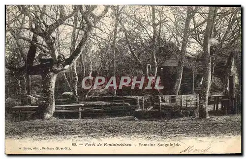 Cartes postales Palais De Fontainebleau Fontaine Sanguinede