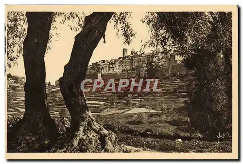 Cartes postales Saint Paul Le Village Fortifie Vu&#39a Travers Les Oliviers