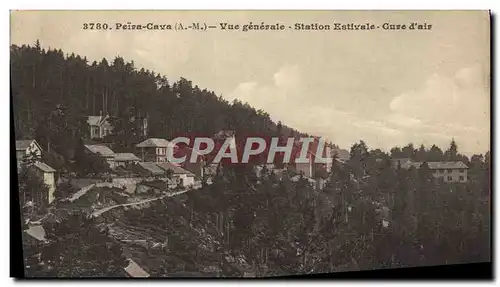 Cartes postales Peira Cava Vue Generale Station Estivale Cure d&#39air