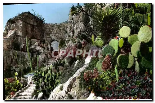 Cartes postales moderne Vieilles pierres et jardin exotique