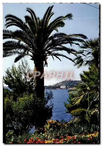 Cartes postales moderne Paysage mediterraneen