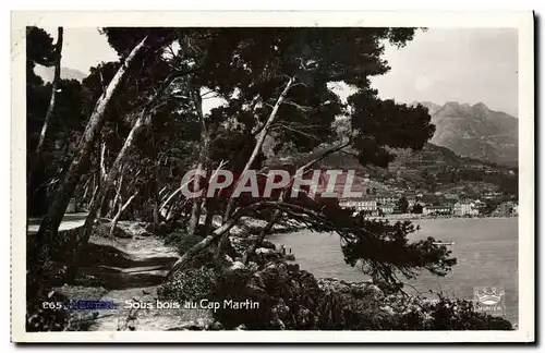 Cartes postales Menton Sous bois du Cap Martin