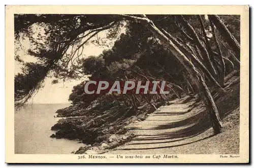 Cartes postales Menton Un Sous Bois au Cap Martin