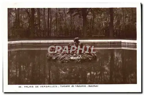 Cartes postales Palais De Versailles Fontaine de L&#39Automne Bacchus