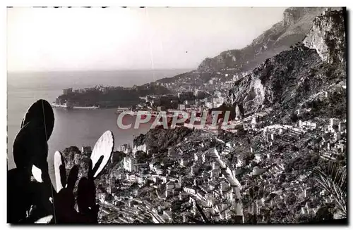 Cartes postales moderne Roquebrune Cap Martin Vue generale Au fond Monte Carlo et le rocher de Monaco