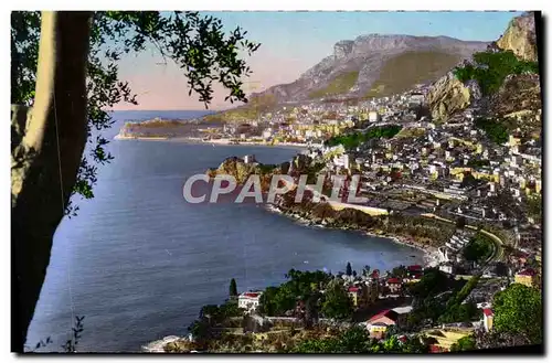 Cartes postales moderne Monte Carlo Vue De Roquebrune