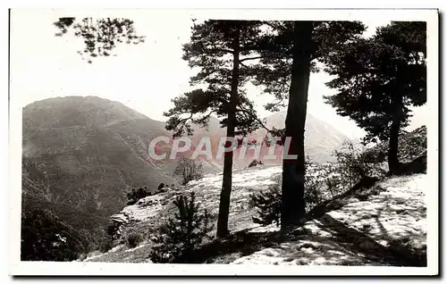 Cartes postales moderne Peira Cava