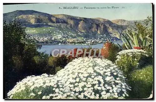 Cartes postales Beaulieu Panorama Vu entre les Fleurs