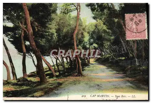 Cartes postales Cap Martin Sous Bois