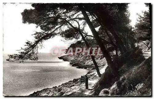 Cartes postales moderne Environs de Menton Roquebrune Cap martin La promenade du Cap Martin