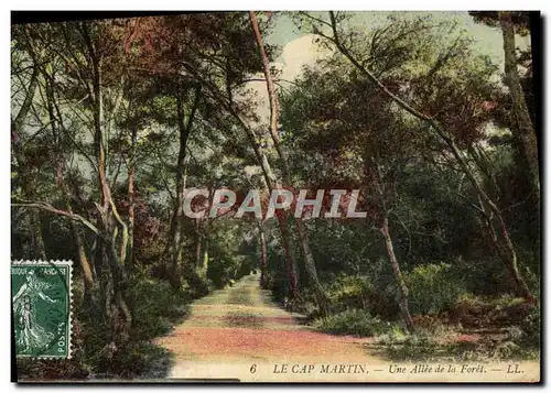 Ansichtskarte AK Le Cap Martin Une Allee de la Foret