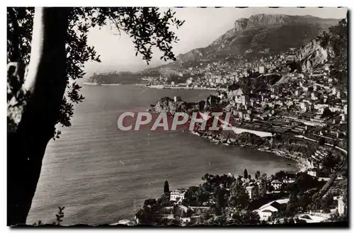 Cartes postales moderne Monte Carlo Vue de Roquebrune