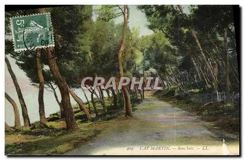 Cartes postales Cap martin sous Bois