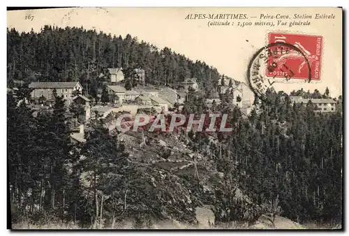 Ansichtskarte AK Alpes Maritimes Peira Cava Vue generale