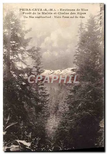 Cartes postales Peira Cava Environs de Nice Foret de la Mairis et chaine des Alpes