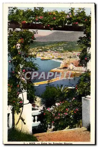 Cartes postales Nice Entre les Pergolas fleuries