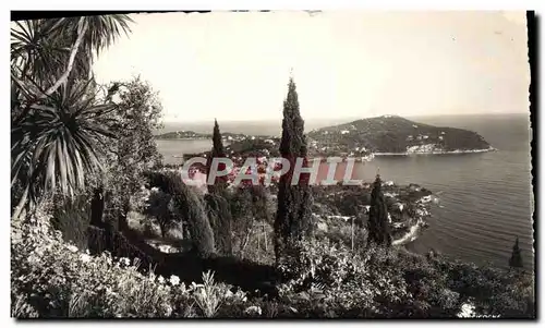 Cartes postales moderne Le Cap Ferrat Dans son decor Mediterraneen