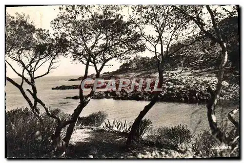 Cartes postales Corniche d&#39Or Une Calanque