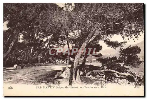 Ansichtskarte AK Cap Martin Chemin Sous Bois