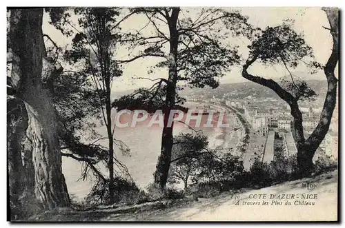 Cartes postales Nice a travers les pins du chateau