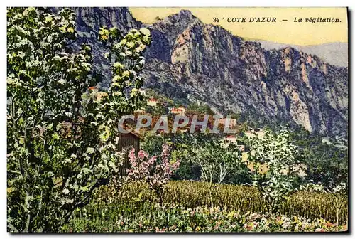 Cartes postales Nice La Vegetation