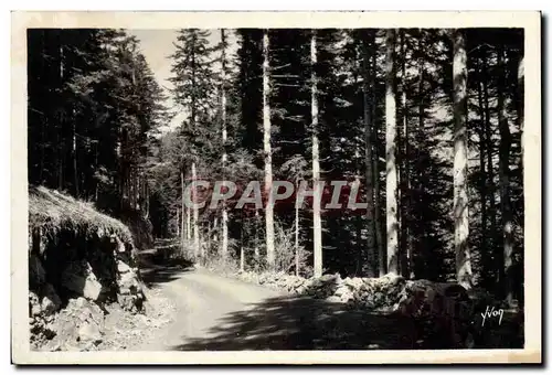 Cartes postales Peira Cava Foret de Turini