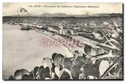 Cartes postales Nice Vue Prise du Chateau Vegetaion Africaine